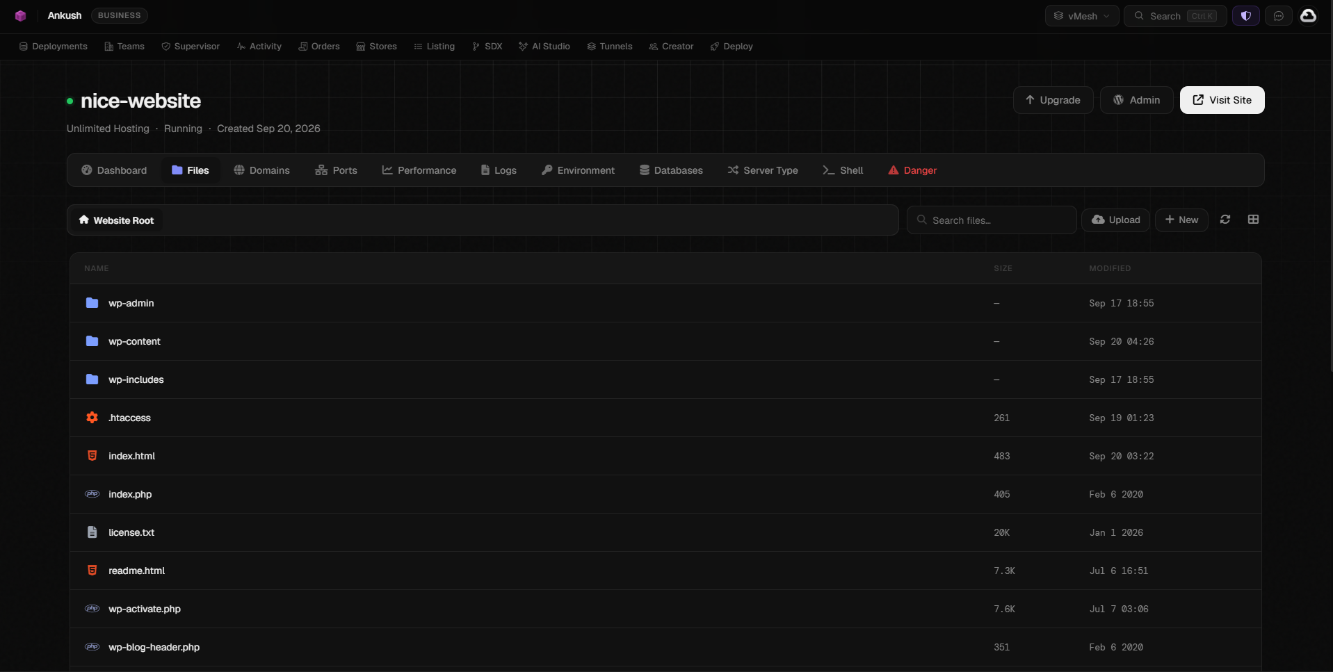 File Manager