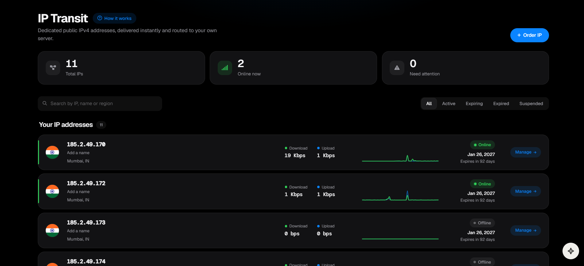 Shulker IP Transit dashboard showing your IPs, live traffic and status